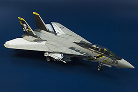 F-14_CA_02i