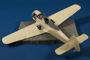 Fw-190_CA_12